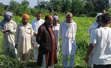 hiranagar news, agriculture news