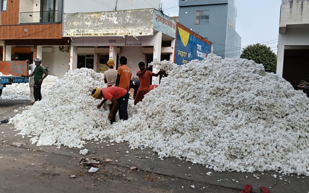 dadri main center for kapas buying