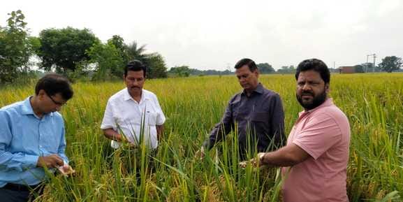 JD Agriculture investigates cancellation of fertilizer sales license