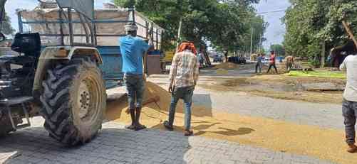 Drizzle again wets paddy in the grain market, farmers worried