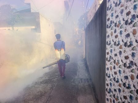 Department on alert after young woman dies of dengue