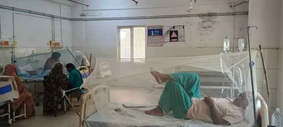 Dengue victims coming from Surat, Rajasthan, Maharashtra and Delhi