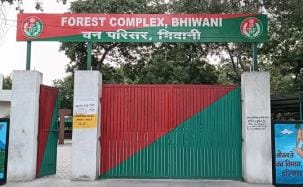 Now, environmental cases will be heard in the district court of every district.