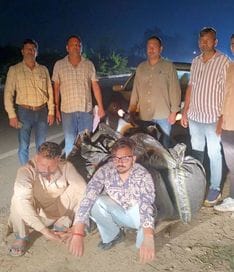 Two drug smugglers from Punjab arrested with 100 kg poppy husk