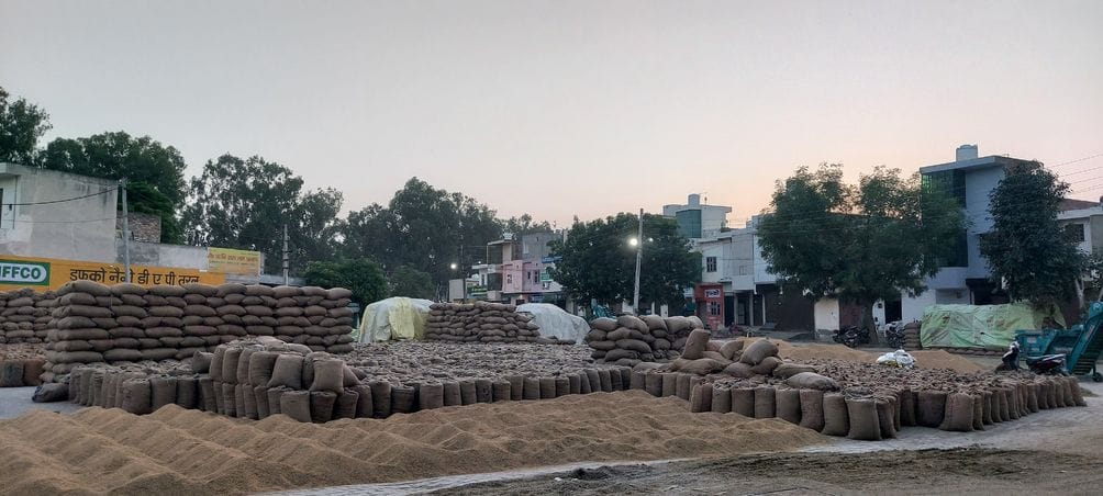 Paddy is being sold in Baisau, farmers are going to Punjab to sell it.