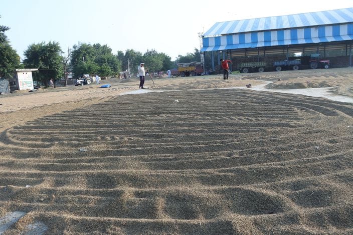If the moisture in the paddy is fine then they are not buying it by saying that it is discoloured.