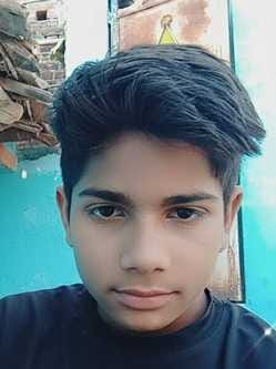 Teenager bitten by snake, dies