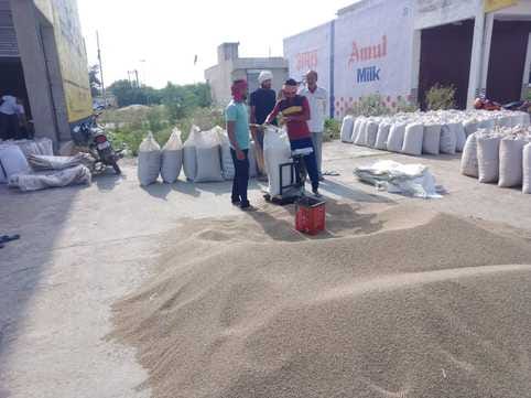 Millet lying in the markets due to non-issuance of gate passes, farmers are unable to sell it.