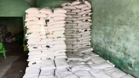Seeds for Rabi crops arrived at Haryana Seed Corporation stores.