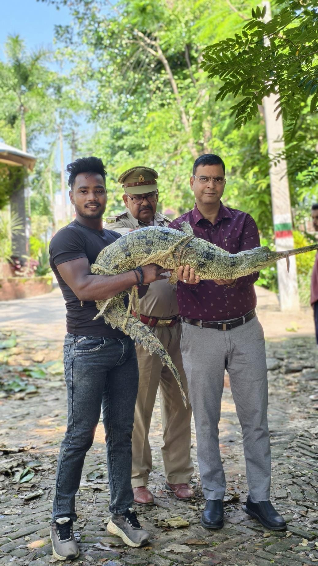 Gharial spotted in Hata canal, stirred up panic