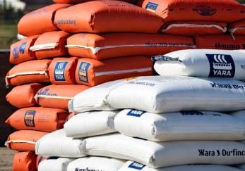 MP News: Fertilizers essential for Kharif crops will now be available starting August 17; sales had been suspe
