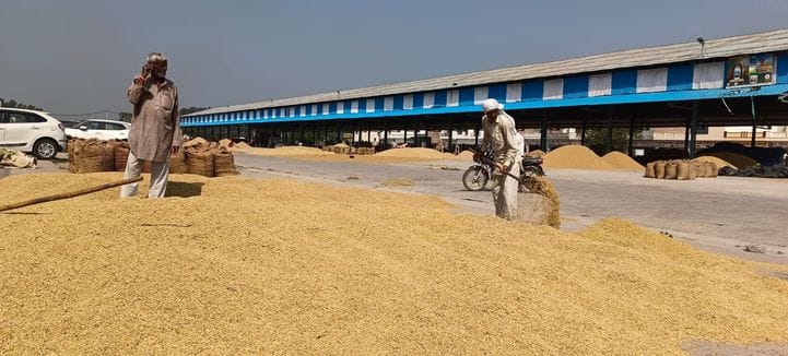 Due to non-allotment of mills, farmers are forced to go to other markets.