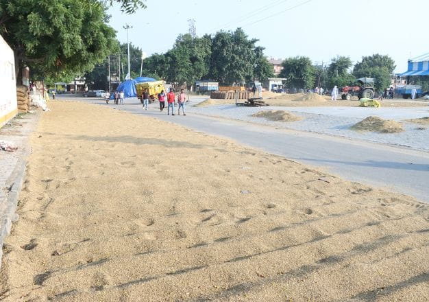 8000 quintals of paddy arrived in the market, 700 quintals were lifted.