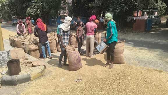 Payment of Rs 311 crore to farmers for paddy, arrival three times more