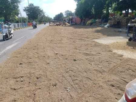 Paddy harvesting and procurement started coming back on track as the weather cleared.