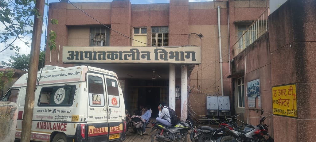 12 people were bitten by snakes, one teenager died.