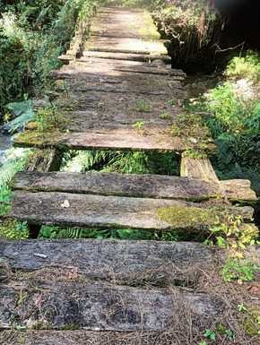 Danger of accidents due to dilapidated footbridge in Pandrada and Pauriya
