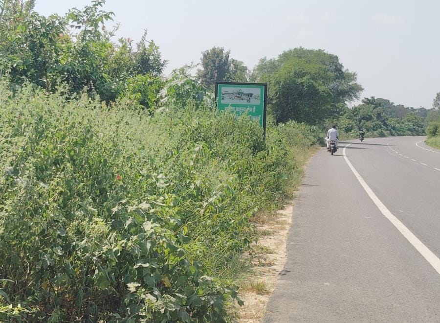 Aligarh-Mathura road construction
