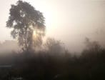 Rajasthan to get relief from cold weather from tomorrow, weather to remain clear for a week