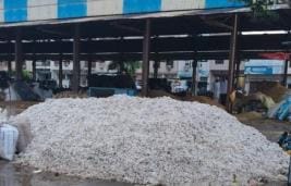 Cotton farmers are not getting MSP, forced to sell at Rs 1200 to Rs 1800 per quintal less.
