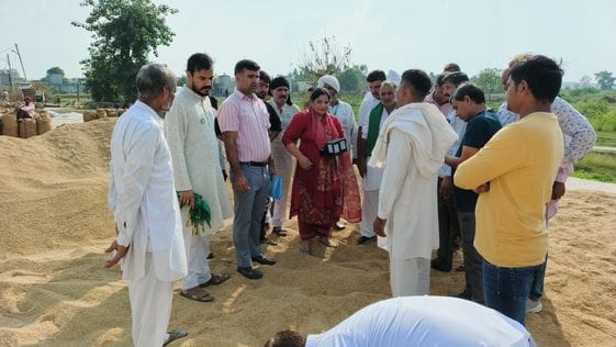 Even after 19 days, paddy procurement in grain markets remains unreliable, while the Chief Minister is busy cracking jokes.