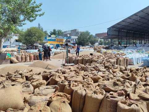 2200 gate passes were cut, 6 thousand tons of millet arrived