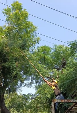 Trees touching the 33 KV high tension line were trimmed.