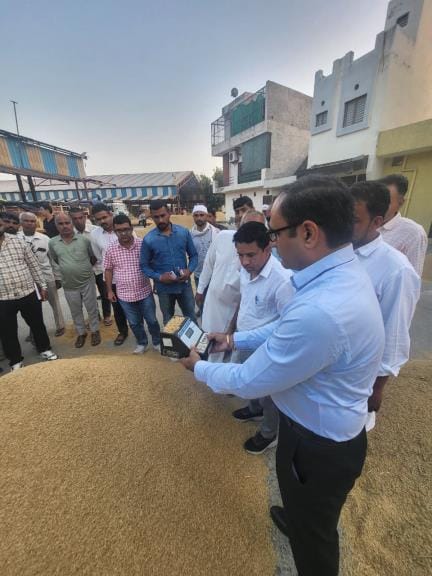 Arrival of paddy increased in the market, 17334 paddy arrived, 15135 quintal paddy purchased