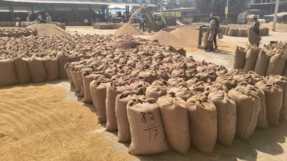 J-form for the entire crop, the commission agents are recording moisture on the raw slip