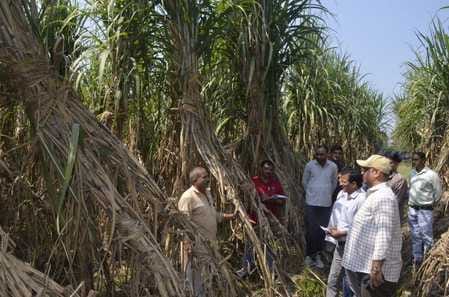 Adopting new technology in farming will make farmers prosperous: Singh