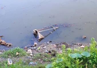 Tree guard lying in the river, cattle ate the plants