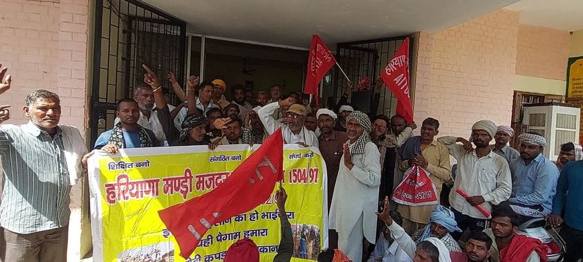 Employment threatened as paddy goes directly to mills instead of the market: Labourers