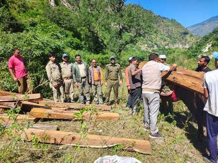 Illegally cut rosewood trees, 23 sleepers recovered