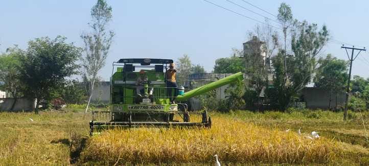 Farmers May Face Fine of Up to Rs 30,000 for Burning Paddy Stubble
