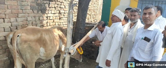 Treatment of animals and distribution of medicines