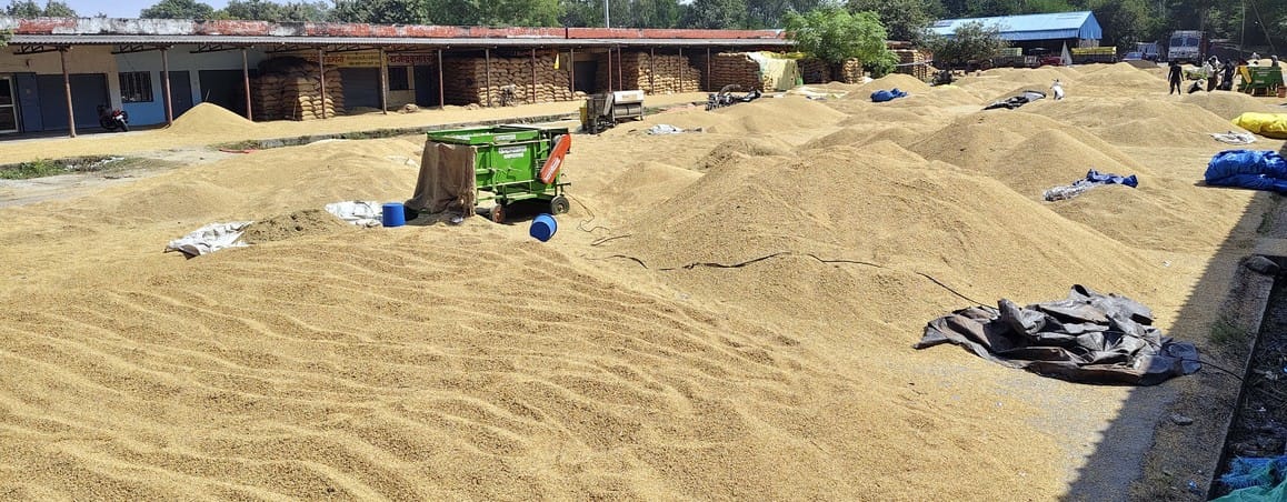Paddy is piling up at RFC centres...procurement is not picking up pace