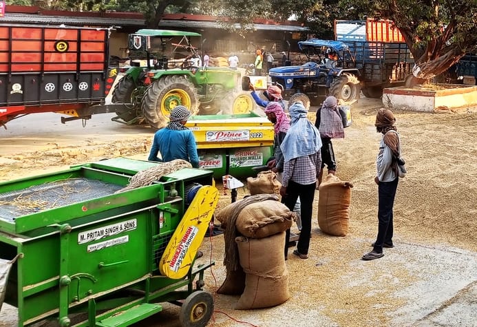 Purchase centers opened in Roza Mandi on Sunday as well, paddy was purchased