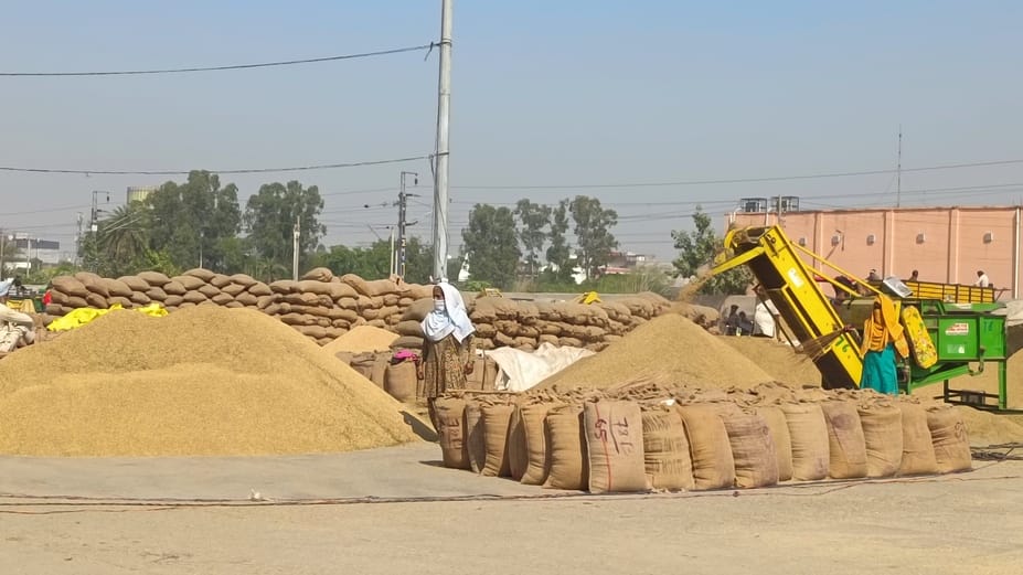 Punjab farmers who have land in Haryana are facing problems in getting their gate passes issued.