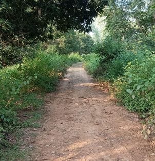 Panchkosi Parikrama route is being neglected in preparation for Diwali.