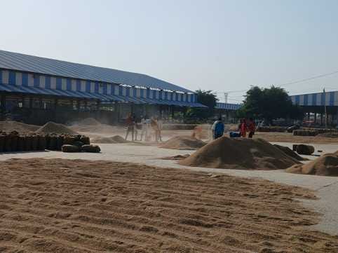 Paddy procurement and lifting slow in the market, sheds filled with bags