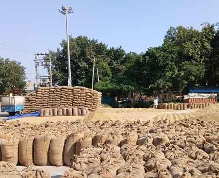 AAP govt procures record 15 million metric tonnes of paddy pays over Rs 34000 crore in Punjab