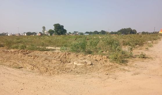 Firecracker market will be set up on the Housing Development Ground.