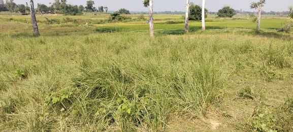 Farmer hangs himself from tree after facing poor harvest Troubled financial hardship rain fails five daughters