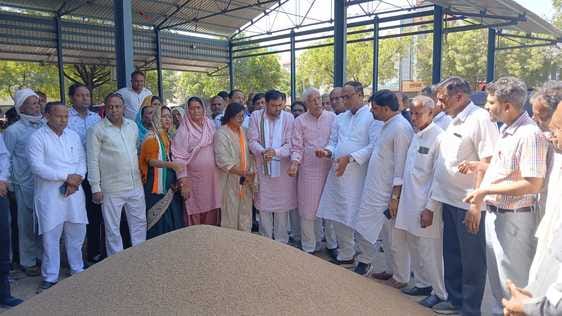 5500 tons of millet reached the market, 1900 gate passes were cut.