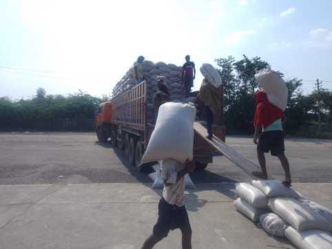Traders bought 2 lakh quintals of millet at low prices.