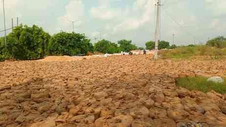 Gate passes issued to 36,836 farmers have been issued, with paddy procurement exceeding 1.87 lakh tons.