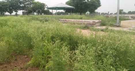 The playground, lacking amenities, shatters the dreams of young people.