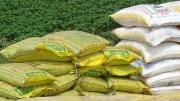 There should be no shortage of fertilizers, the administration has prepared a blueprint