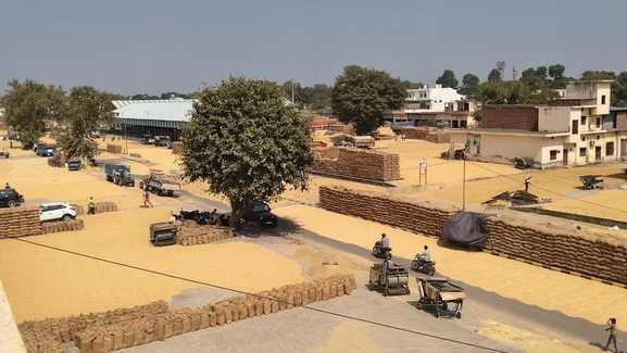 617 crore rupees of paddy came into the accounts of farmers