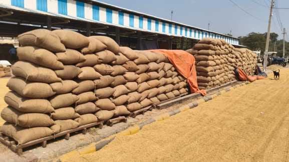 80.20 percent paddy lifted from grain markets